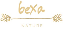BEXA Store